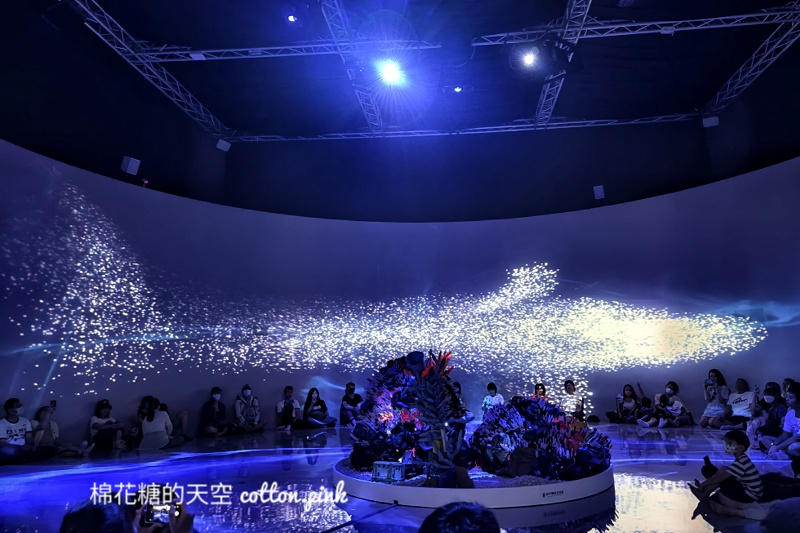 超美!台中國美館沉浸式展演”海”重新開放!最新索票方式看這邊