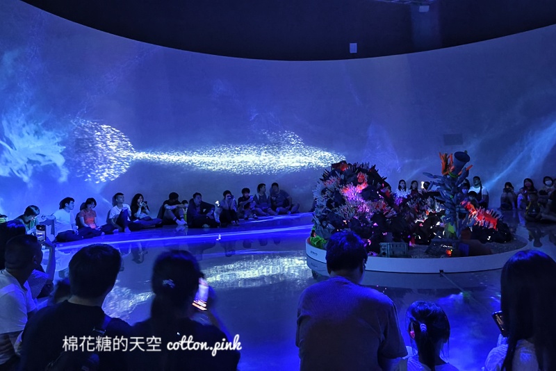 超美!台中國美館沉浸式展演"海"重新開放!最新索票方式看這邊