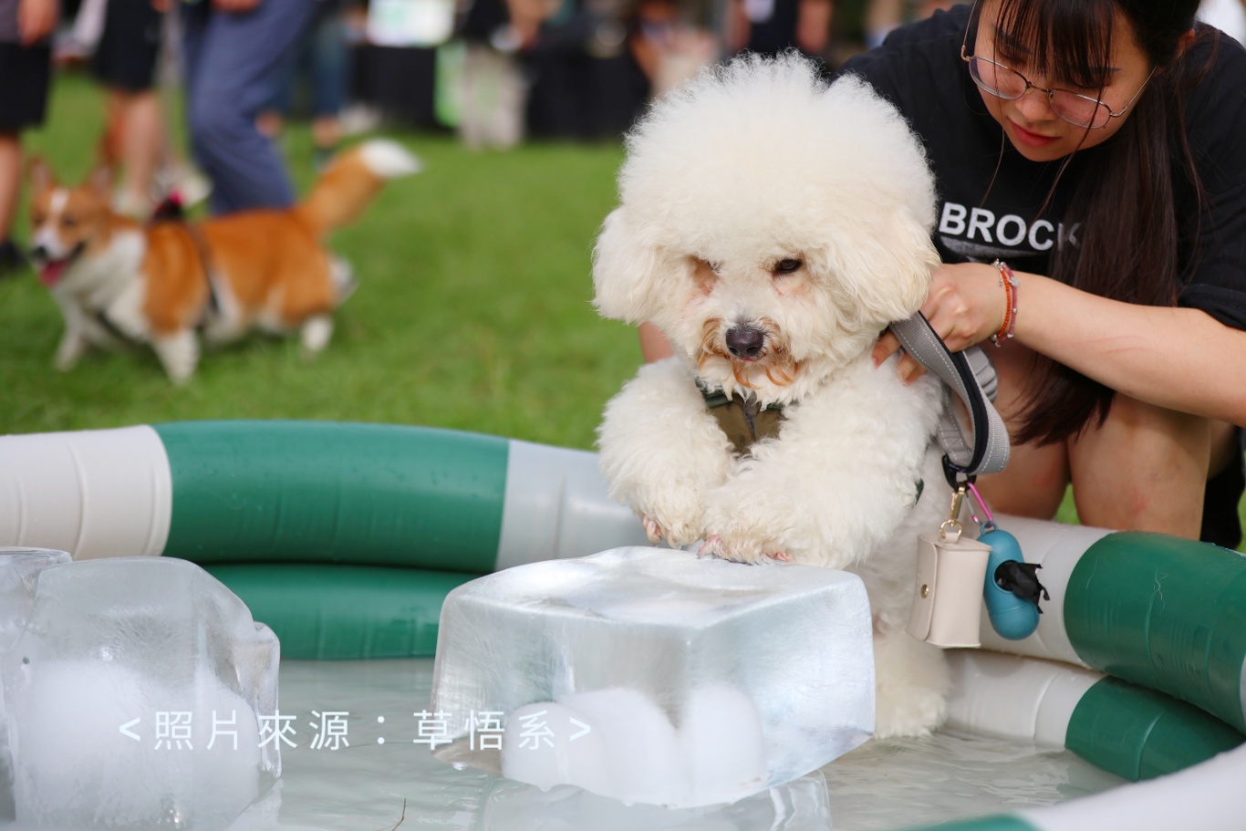 市民廣場今天毛毛的！活動最後一天～毛孩旋轉木馬超療癒