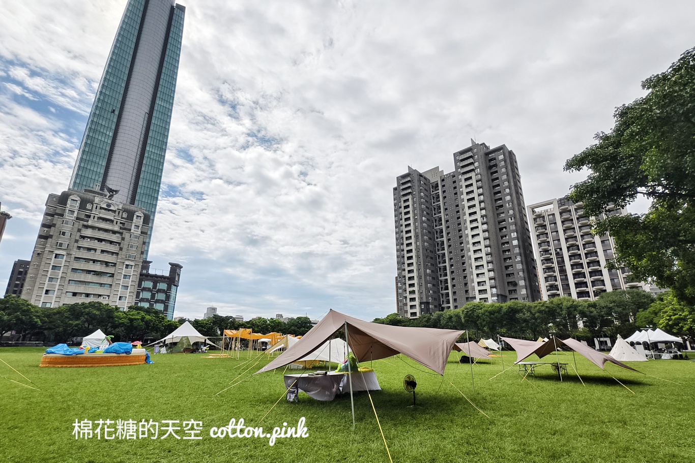 市民廣場今天毛毛的！活動最後一天～毛孩旋轉木馬超療癒