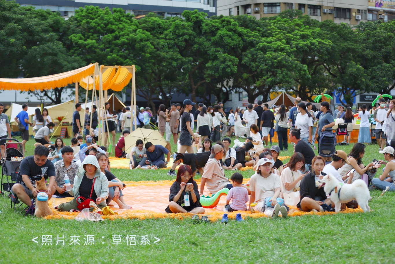 市民廣場今天毛毛的！活動最後一天～毛孩旋轉木馬超療癒