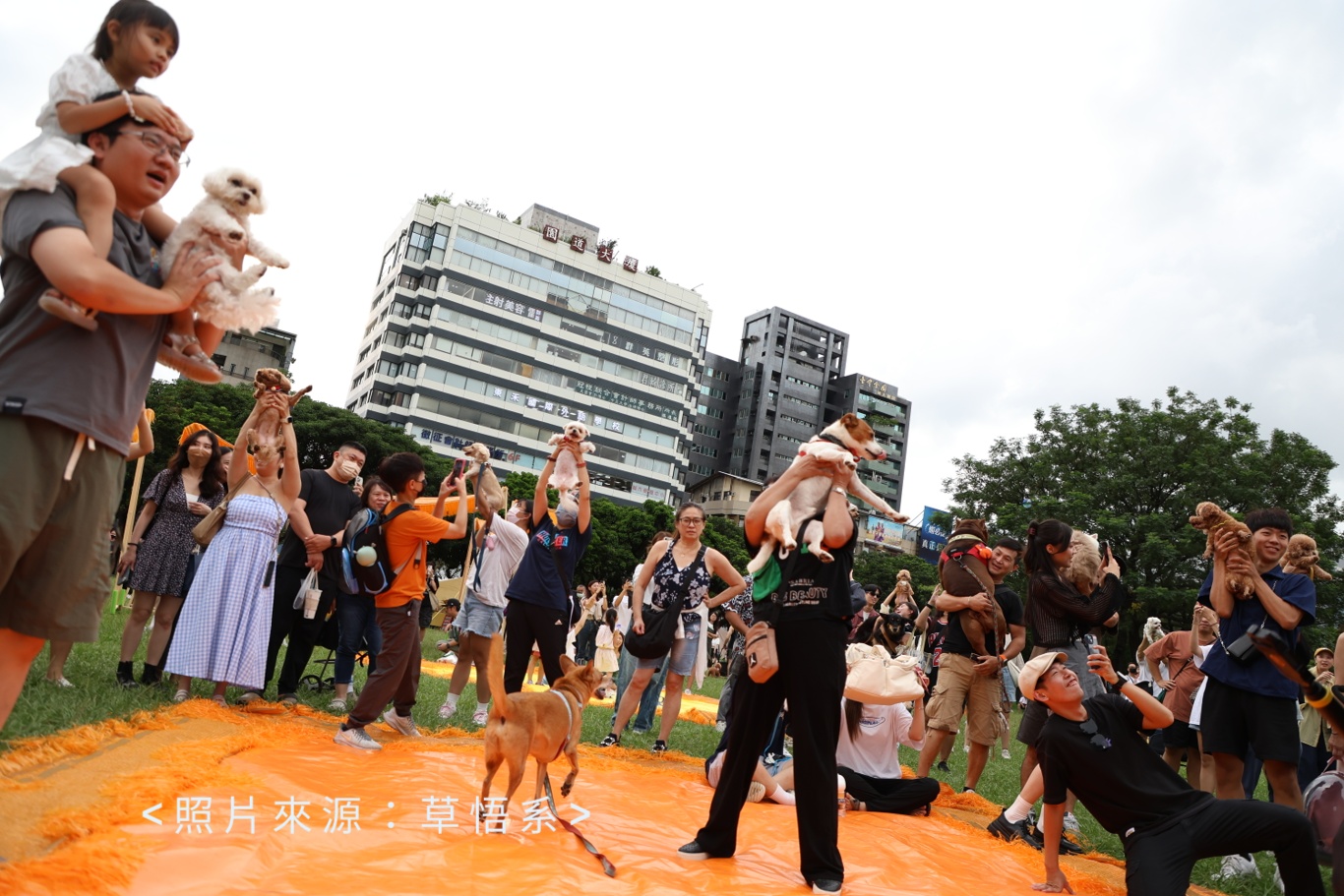 市民廣場今天毛毛的！活動最後一天～毛孩旋轉木馬超療癒