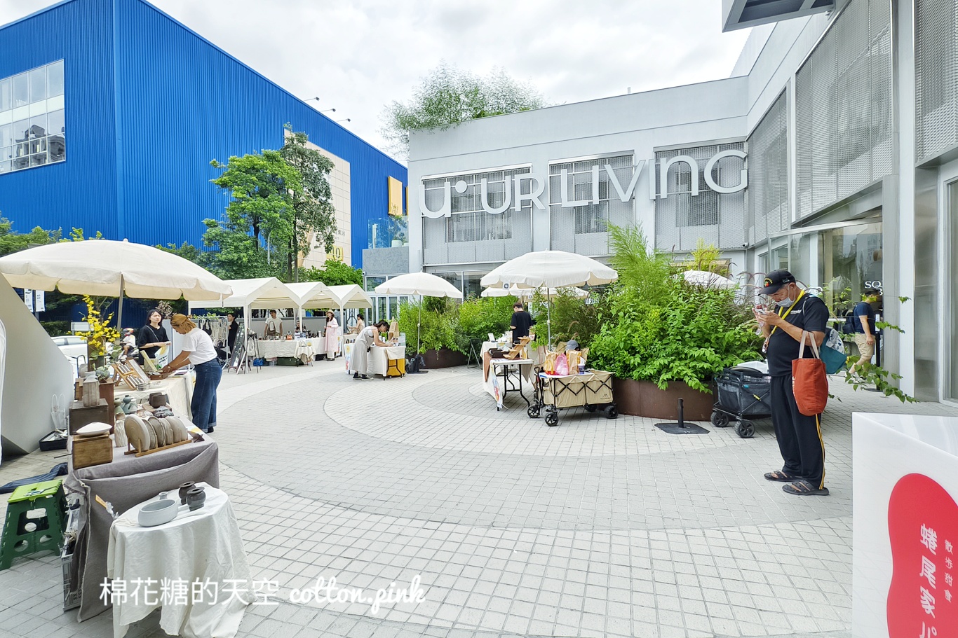 超巨絨毛狗狗療癒度爆表！這週末還有寵物市集～就在IKEA旁邊