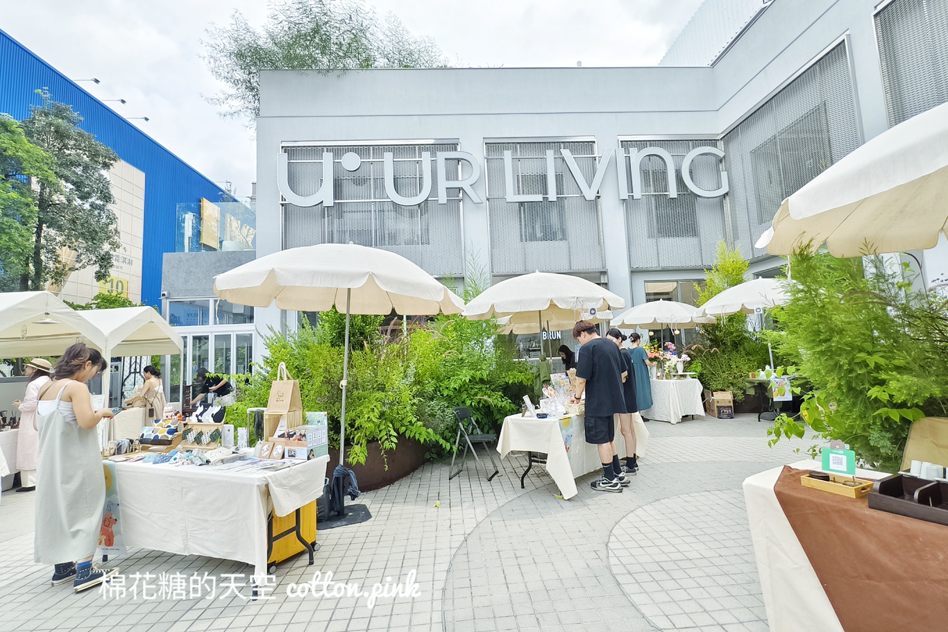 超巨絨毛狗狗療癒度爆表！這週末還有寵物市集～就在IKEA旁邊