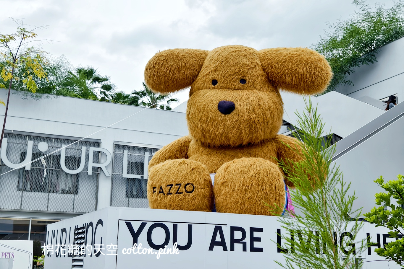 超巨絨毛狗狗療癒度爆表！這週末還有寵物市集～就在IKEA旁邊