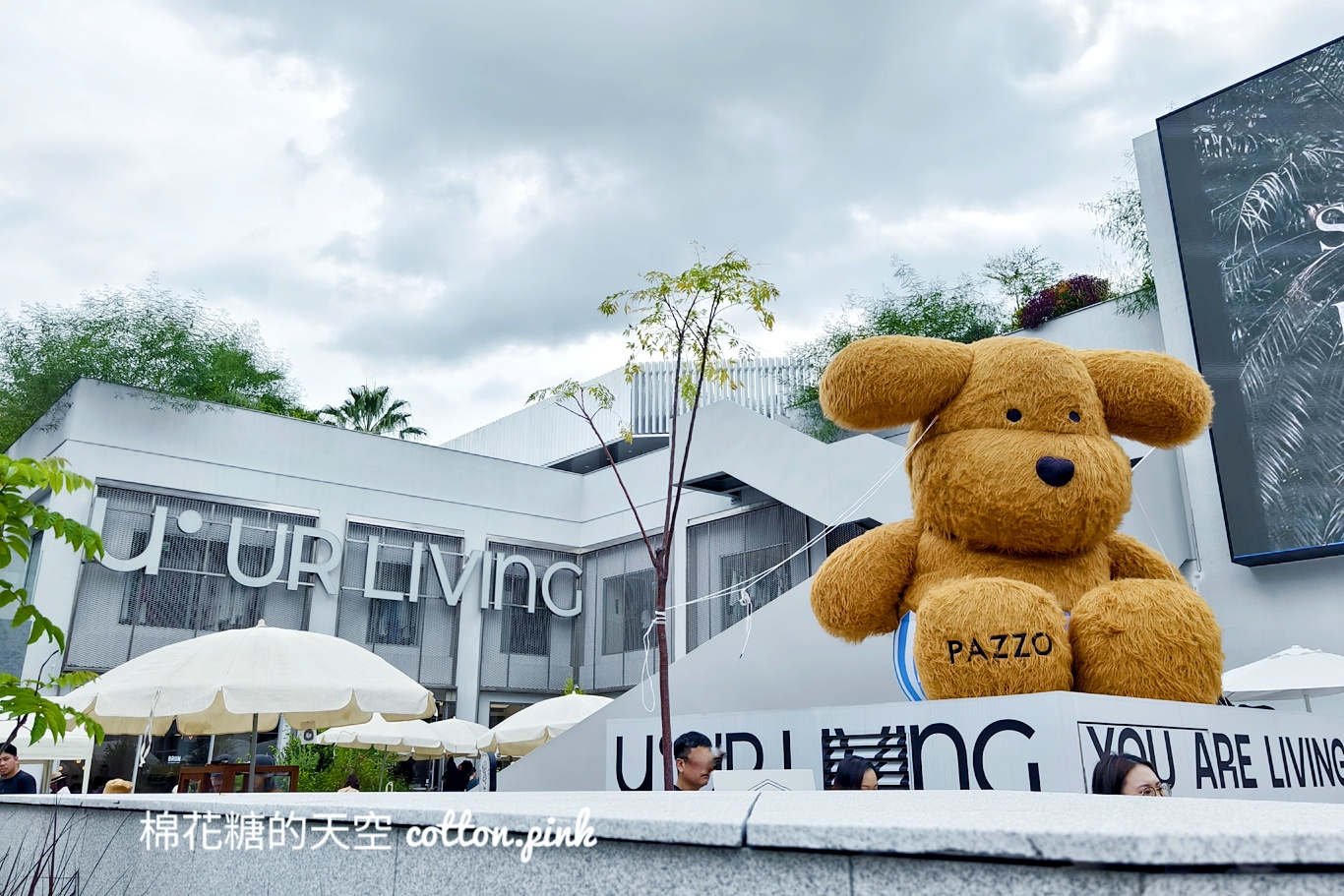 超巨絨毛狗狗療癒度爆表！這週末還有寵物市集～就在IKEA旁邊