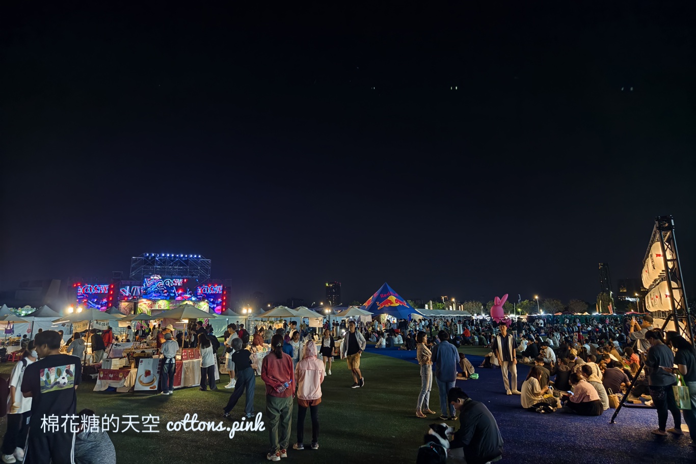 最後一天！玖壹壹南北二路音樂節~聽團外加逛夜市.逛市集