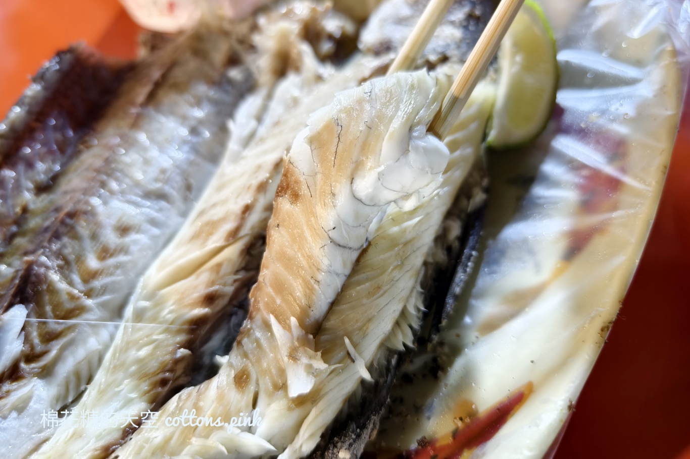 台中旱溪夜市超狂烤海鮮-發哥現烤，烤魚、鮮蚵都好吃