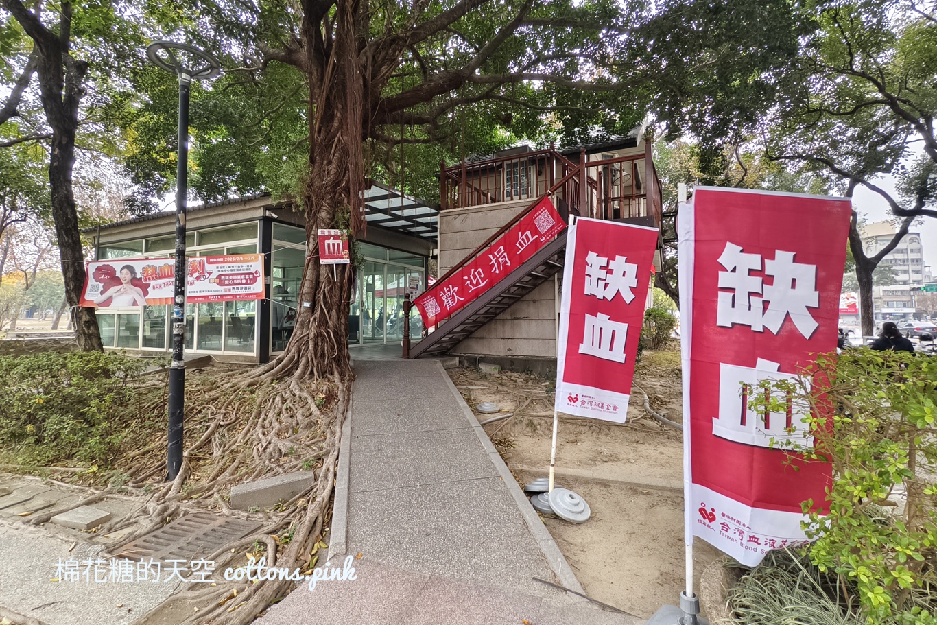 限時四天!捐血再送牛排5折券~台中九處配合捐血室看這裡 限時四天!捐血再送牛排5折券~台中九處配合捐血室看這裡