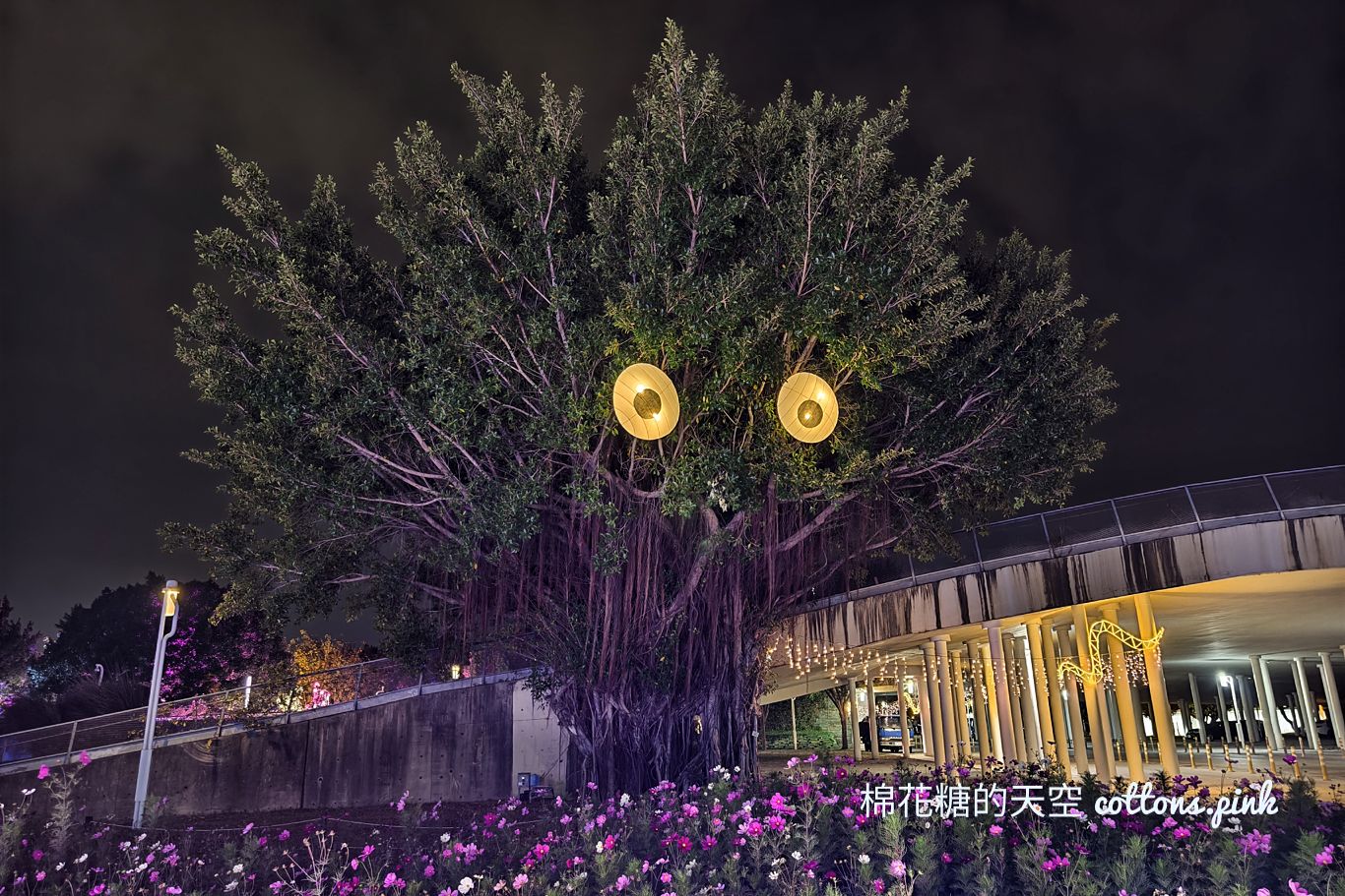 2025台中燈會推薦路線-神秘海洋世界～還有話題十足主燈秀