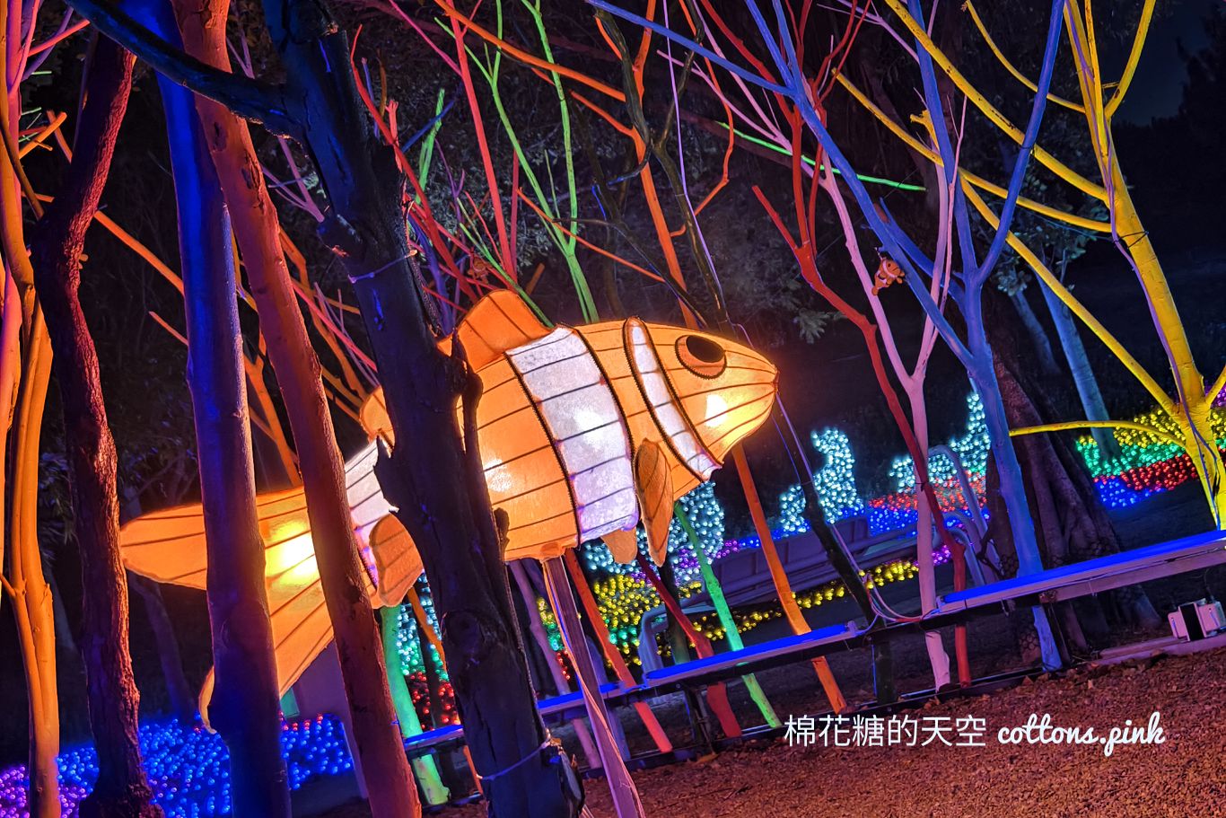 台中燈會這一區超美超好拍!北極熊.小企鵝.大章魚還有超大夢幻水母