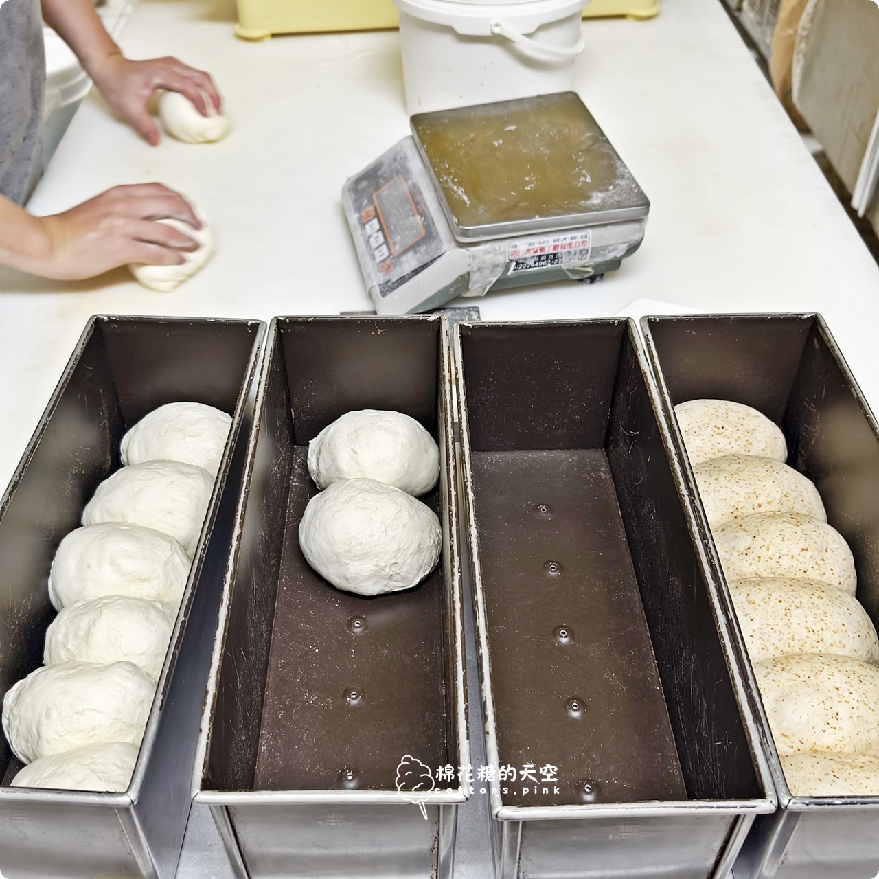 台中必吃麵包店推薦-糖印麵包檸檬吐司.起司法國都大推!