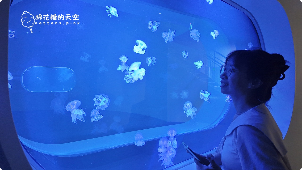 台中海洋館終於開幕啦！內部設備實拍超美水母區、黑潮之海搶先看