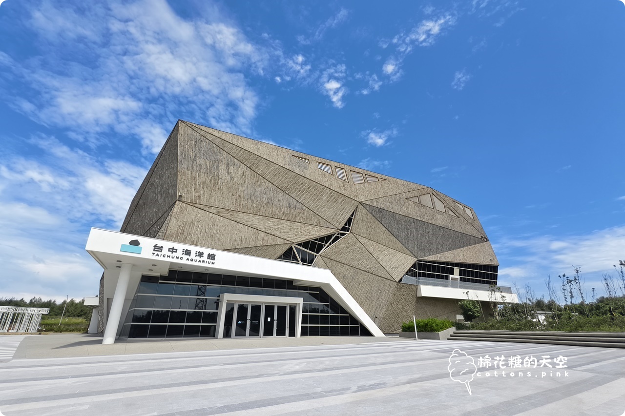 台中海洋館終於開幕啦！內部設備實拍超美水母區、黑潮之海搶先看