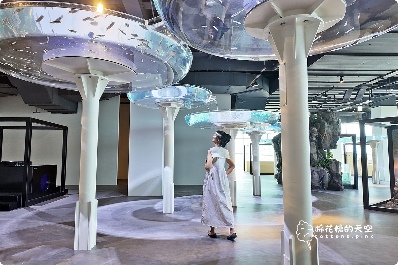 台中海洋館終於開幕啦！內部設備實拍超美水母區、黑潮之海搶先看