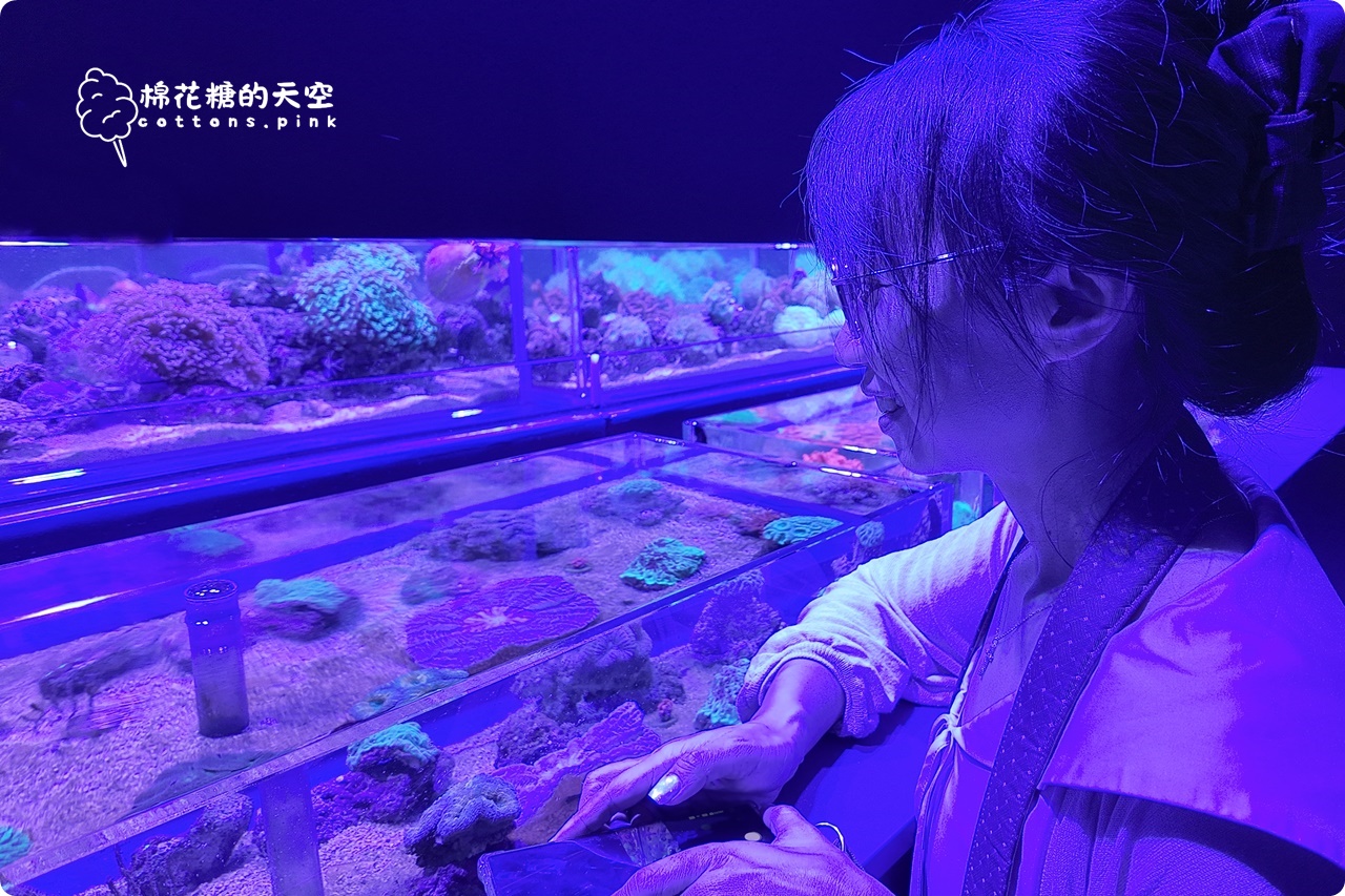 台中海洋館終於開幕啦！內部設備實拍超美水母區、黑潮之海搶先看