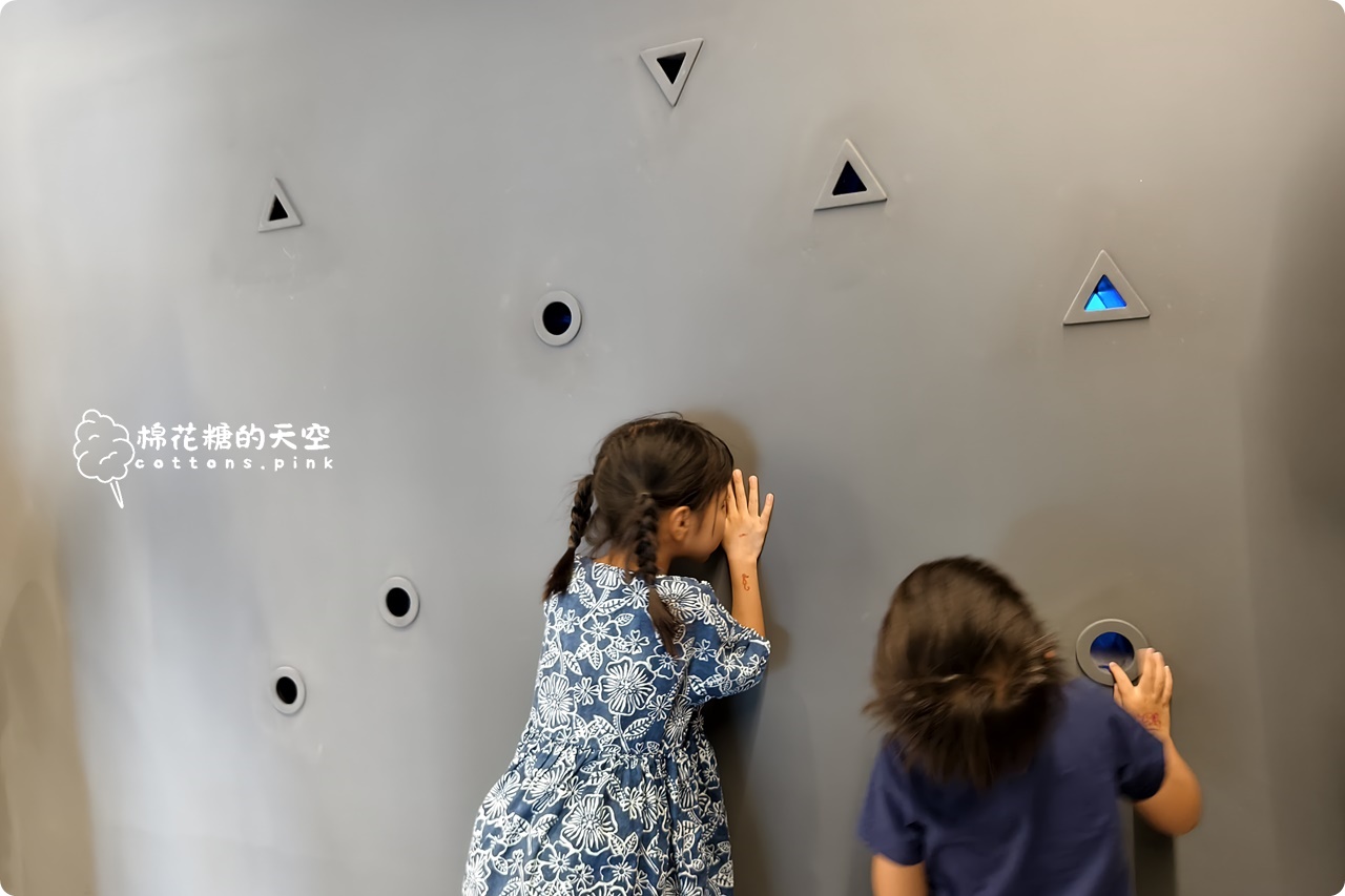 台中海洋館終於開幕啦！內部設備實拍超美水母區、黑潮之海搶先看