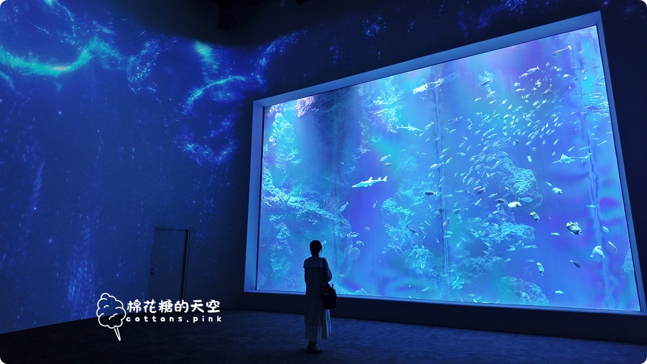 台中海洋館終於開幕啦！內部設備實拍超美水母區、黑潮之海搶先看
