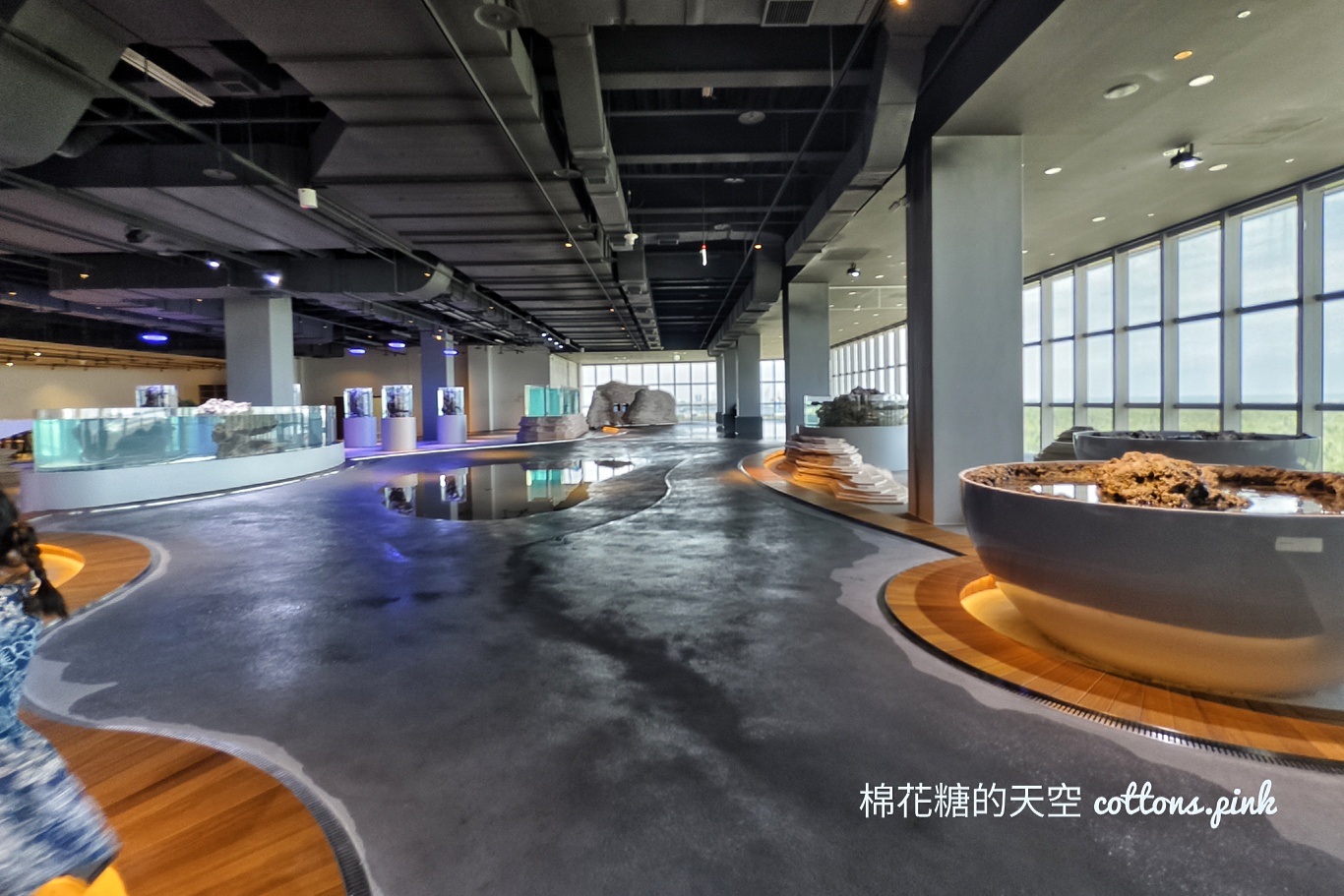 台中海洋館終於開幕啦！內部設備實拍超美水母區、黑潮之海搶先看