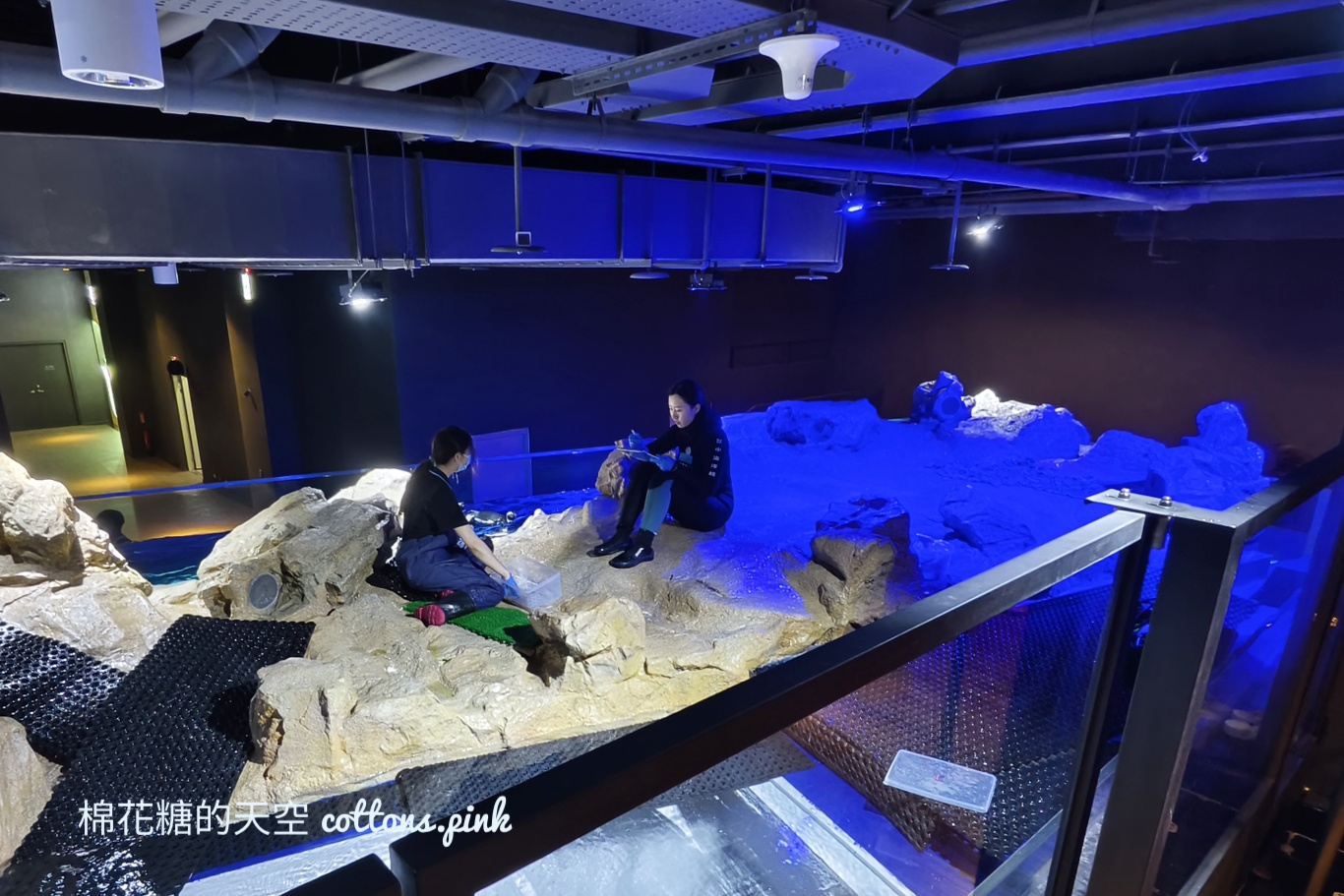 台中海洋館終於開幕啦！內部設備實拍超美水母區、黑潮之海搶先看