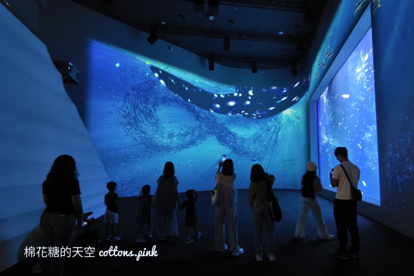 台中海洋館終於開幕啦！內部設備實拍超美水母區、黑潮之海搶先看