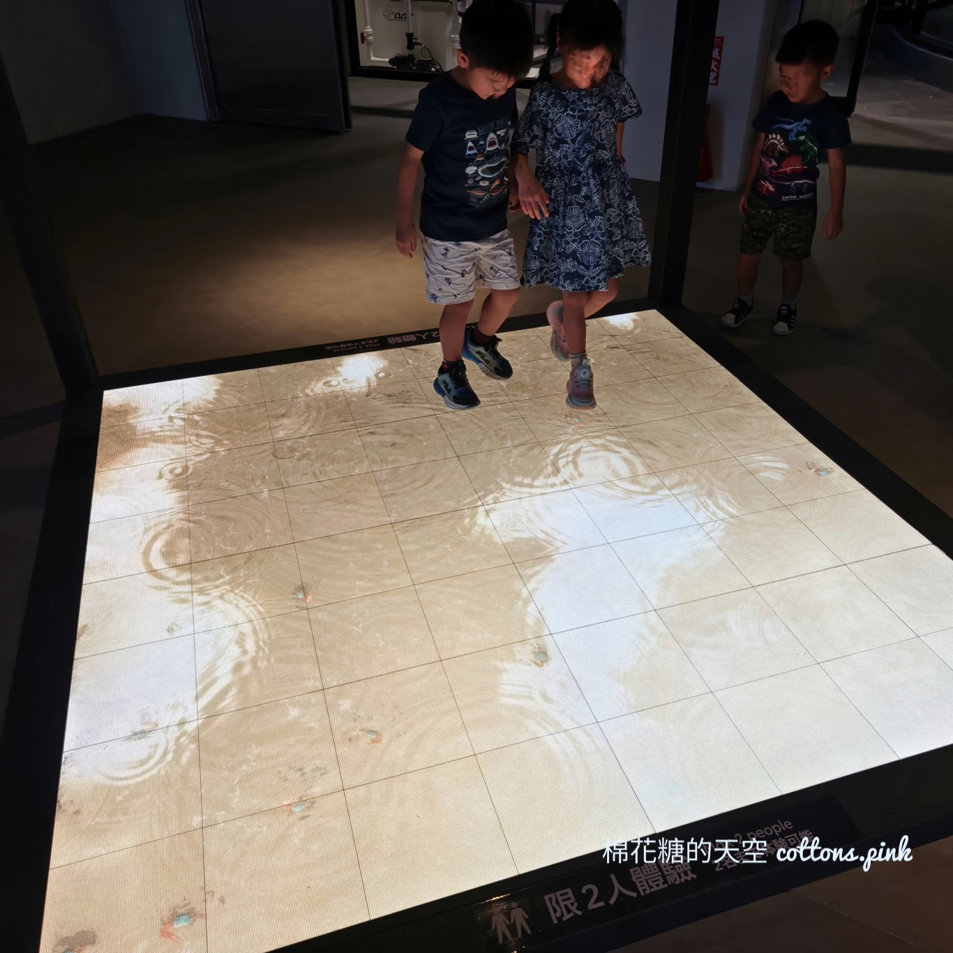 台中海洋館終於開幕啦！內部設備實拍超美水母區、黑潮之海搶先看