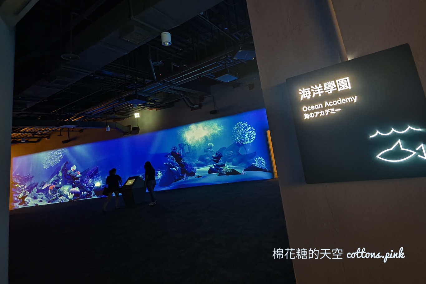 台中海洋館終於開幕啦！內部設備實拍超美水母區、黑潮之海搶先看