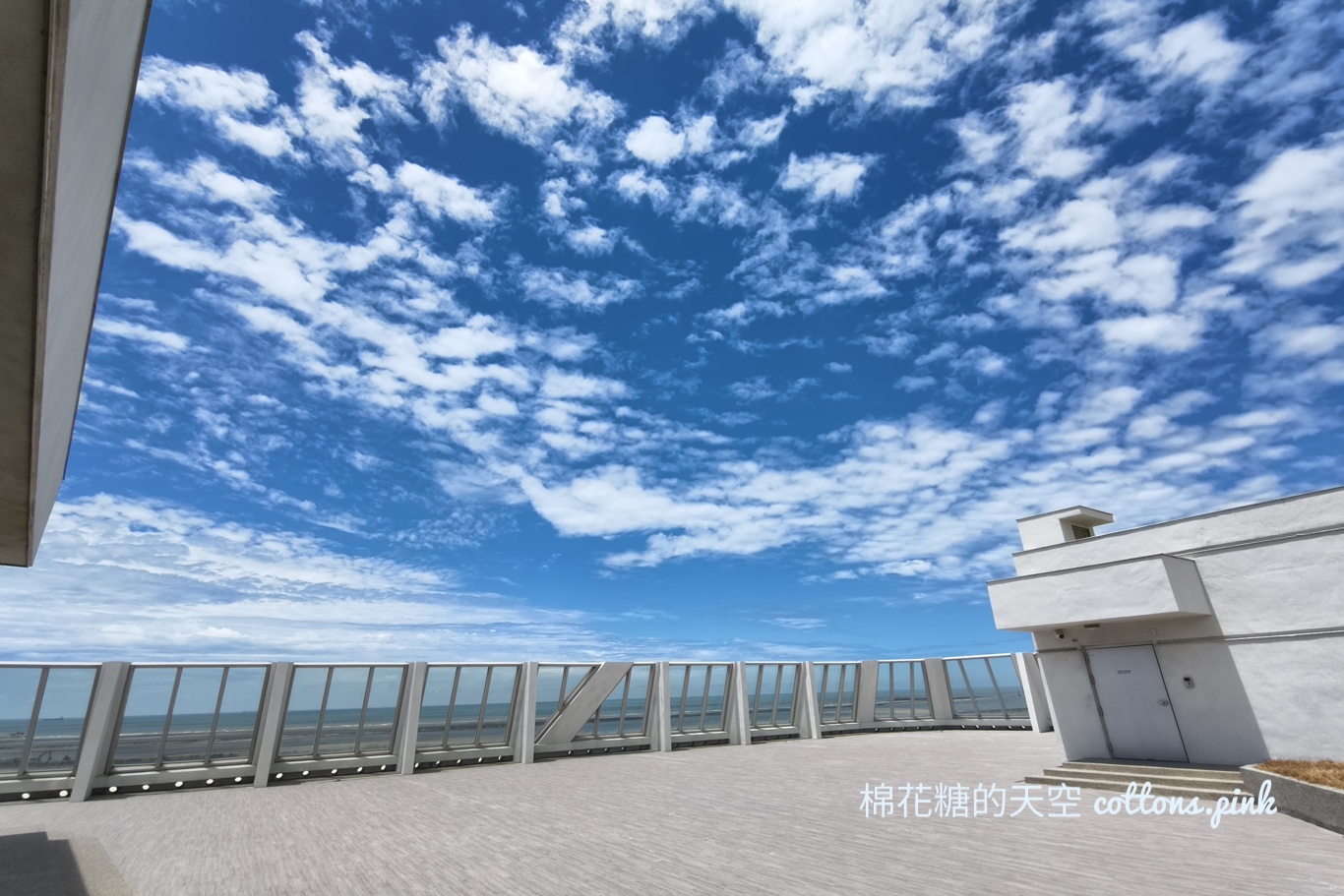台中海洋館終於開幕啦！內部設備實拍超美水母區、黑潮之海搶先看