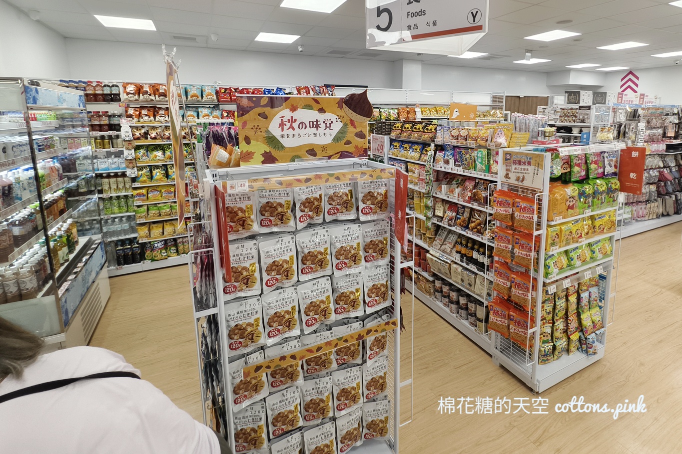 台中最新大創開在超市二樓～品項選擇超多根本荷包殺手