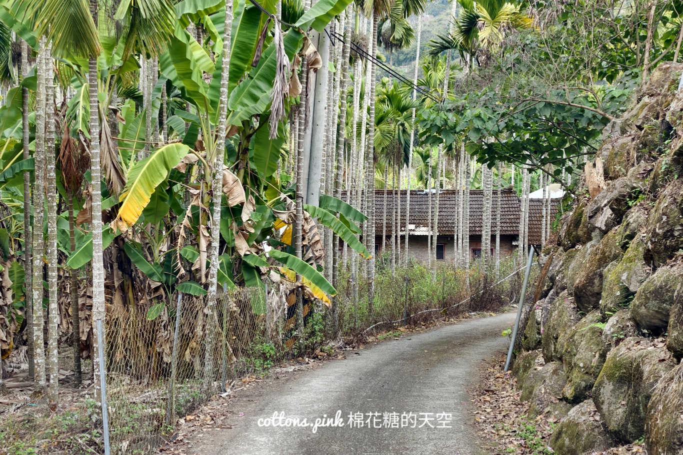 台中露營區推薦|星空夜語露營區不只可以搭帳篷還有可愛小木屋