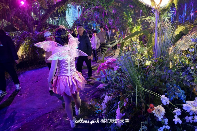 2026台中燈會驚蟄界亮點整理-地圖路線＋實際心得分享