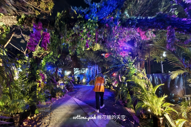 2026台中燈會驚蟄界亮點整理-地圖路線＋實際心得分享