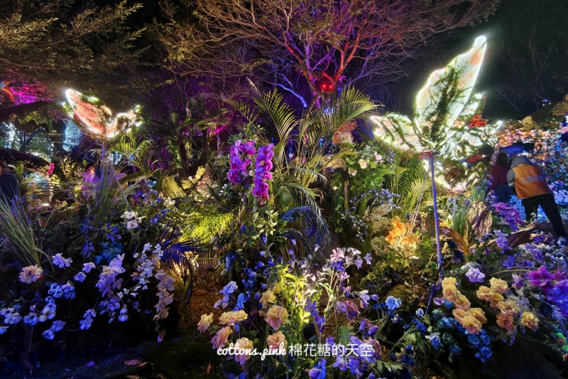 2026台中燈會驚蟄界亮點整理-地圖路線＋實際心得分享