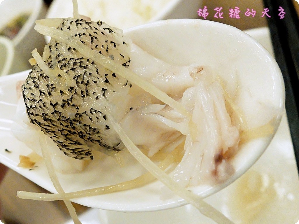 00虎斑3.JPG 00虎斑3.JPG