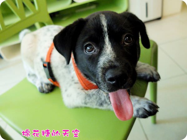 00烏瑪2.JPG