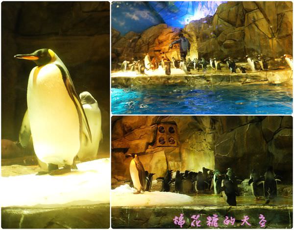 00企鵝館6.jpg
