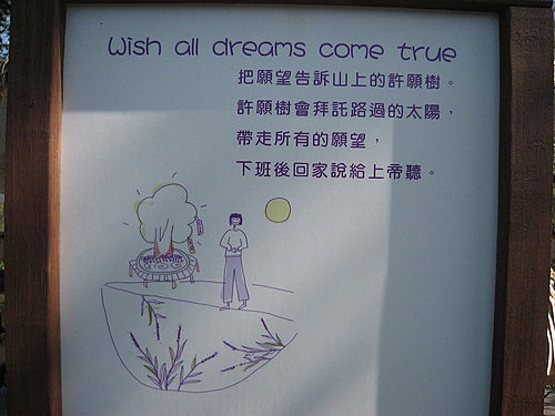 070123一大早新社薰衣草森林之旅