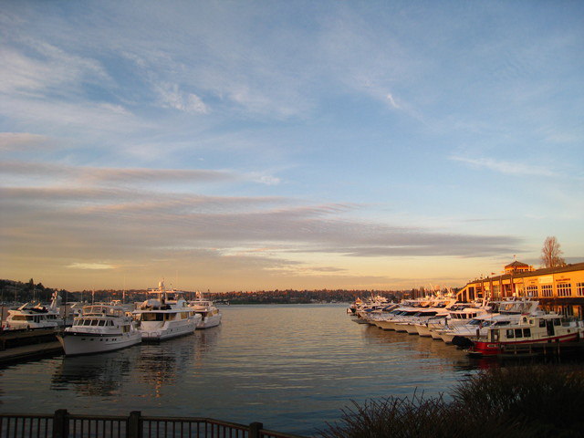 我在西雅圖~Waterfront Park & 搭Streetcar到聯合湖 我在西雅圖~Waterfront Park & 搭Streetcar到聯合湖
