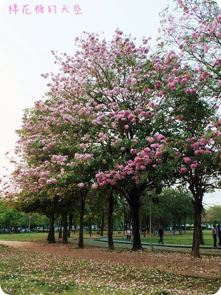 00全景2.JPG