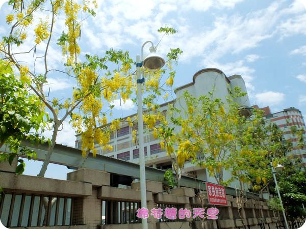 00國小旁2.JPG