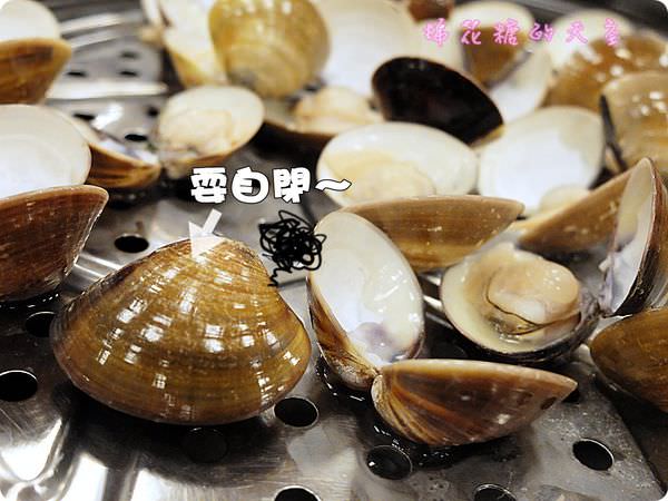 00蛤蠣3.JPG