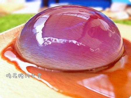 00幻蝶姬3.JPG