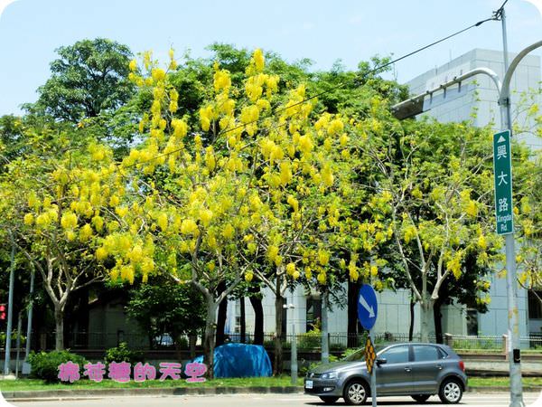 00中興大學8.JPG