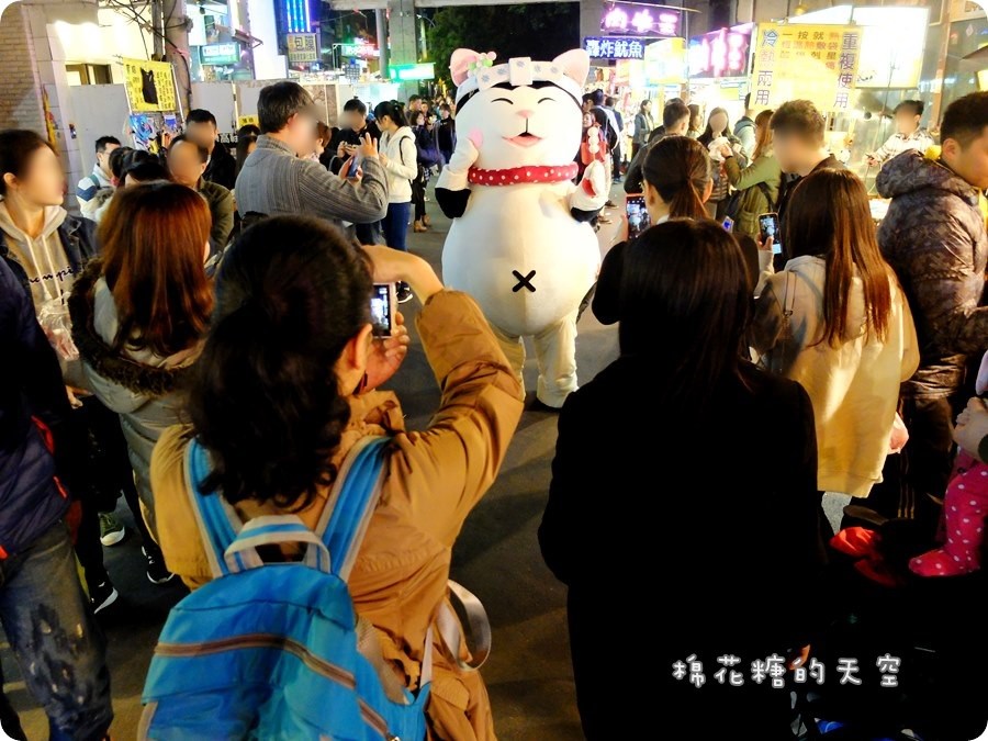 00貓咪4.JPG