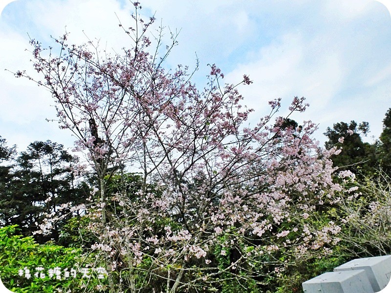 01報到3.JPG
