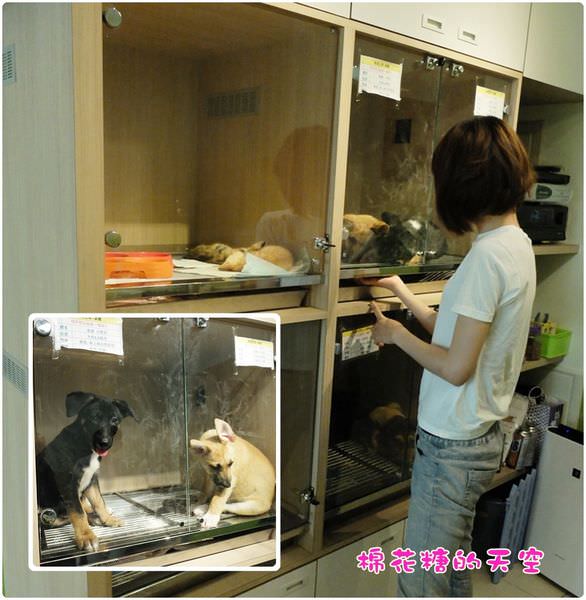 00二樓籠子.JPG