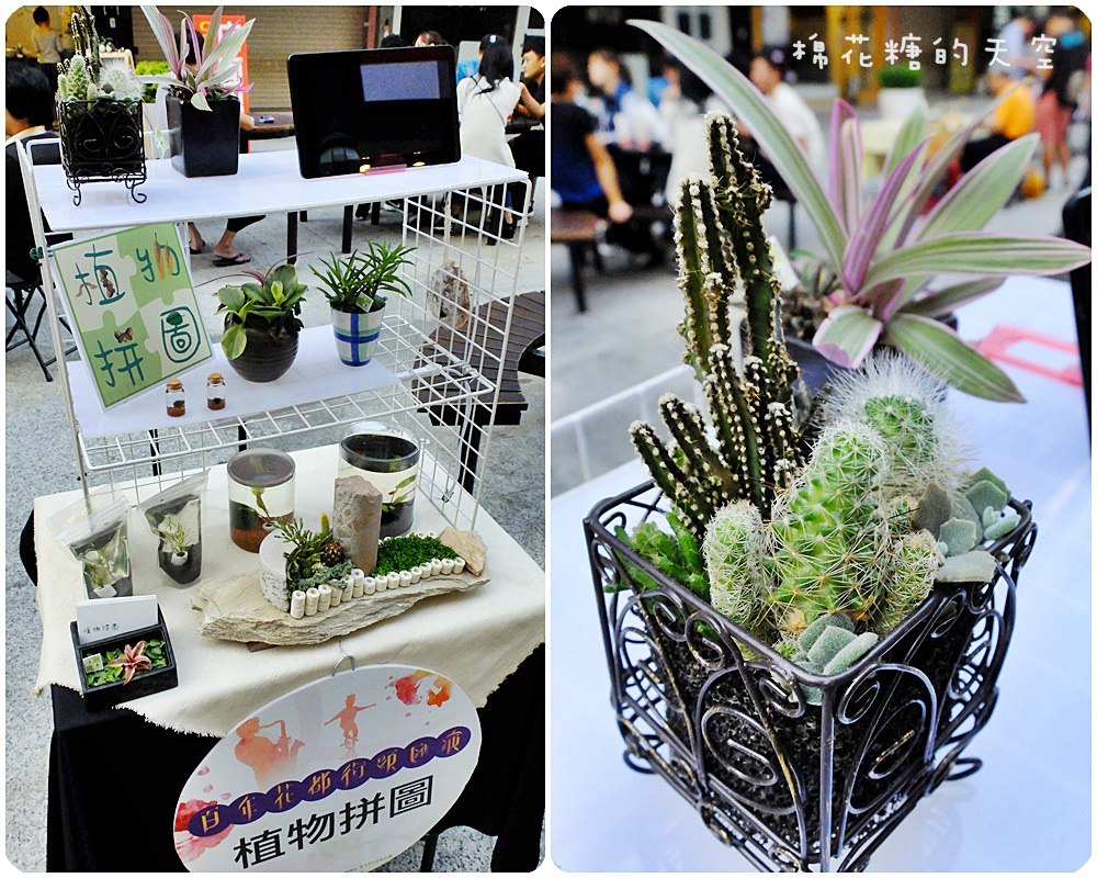 00植物.jpg