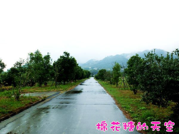 00農場路