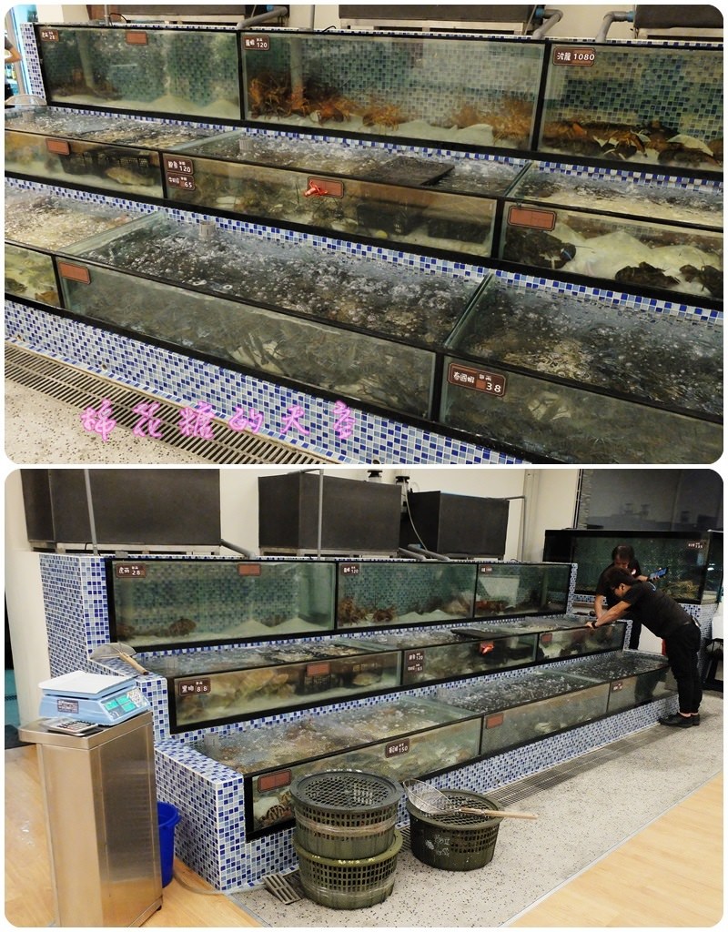 00裝潢2.jpg 00裝潢2.jpg