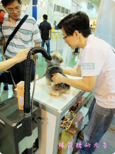 00寵物SPA2.JPG